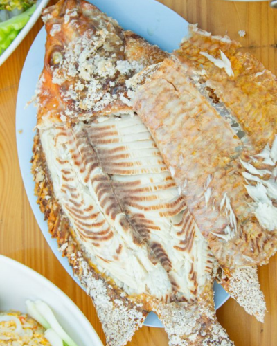 Untitled design.zip - 1